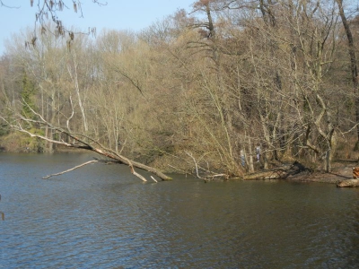 Jungfernheide Charlottenburg_07