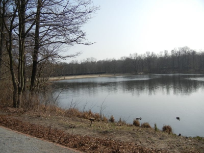 Jungfernheide Charlottenburg_15