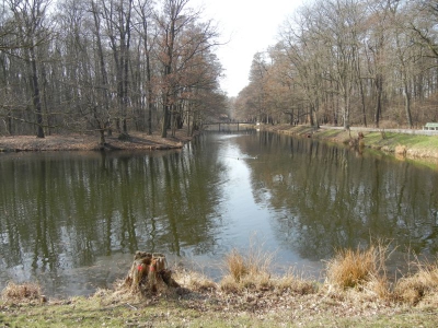 Jungfernheide Charlottenburg_16