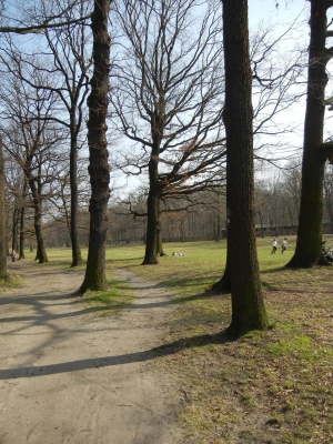 Jungfernheide Charlottenburg_19
