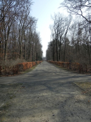 Jungfernheide Charlottenburg_22