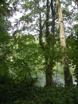 Koenigssee Grunewald