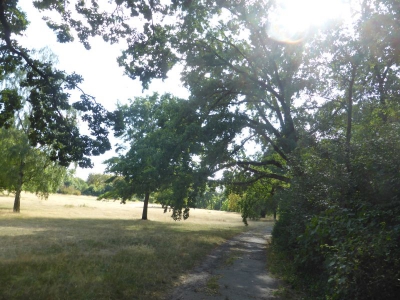 Park Ruhwald Westend 3918_08