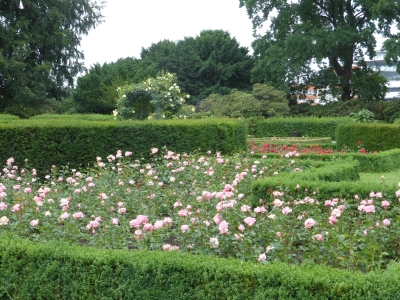 Volkspark Humboldthain Gesundbrunnen Berlin Mitte 2416_08