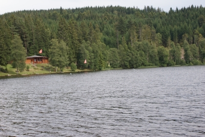 Windgfällweiher Falkau Feldberg_08