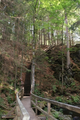 Wasserfälle Falkau Feldberg_10