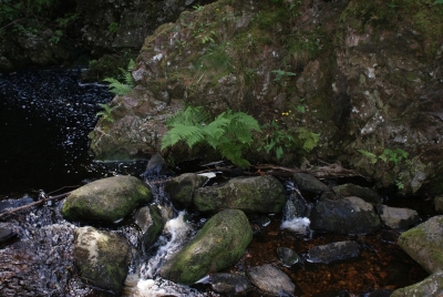 Wasserfälle Falkau Feldberg_15