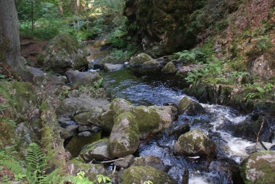 Wasserfälle Falkau Feldberg_17