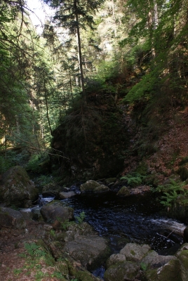 Wasserfälle Falkau Feldberg_18