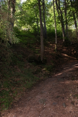 Wasserfälle Falkau Feldberg_20