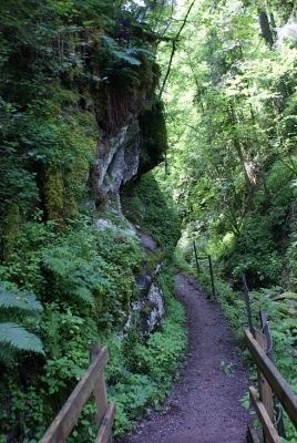 Lotenbachklamm bei Bonndof_07