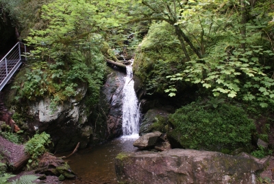 Lotenbachklamm bei Bonndof_12