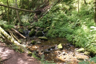 Lotenbachklamm bei Bonndof_23