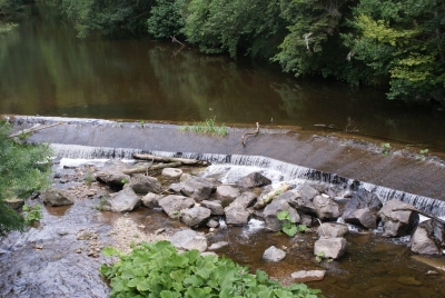 Lotenbachklamm bei Bonndof_30