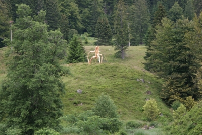 Wanderweg am Wasserfall Menzenschwand_14