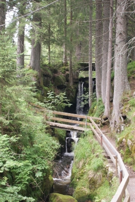 Wasserfälle Menzenschwand_10