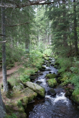 Wasserfälle Menzenschwand_13