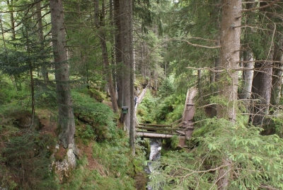 Wasserfälle Menzenschwand_15