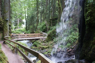 Wasserfälle Menzenschwand_23