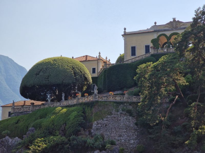 Tremezzina 2622_25