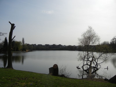 Grimnitzsee  Wilhelmstadt Berlin Spandau_03