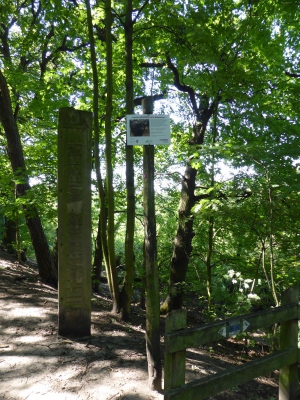 Tiefwerder Wiesen 3115_26