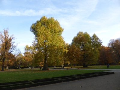 Schlosspark Niederschönhausen Berlin 4415_03