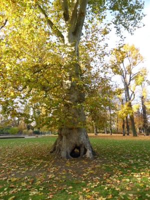 Schlosspark Niederschönhausen Berlin 4415_07