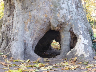 Schlosspark Niederschönhausen Berlin 4415_08