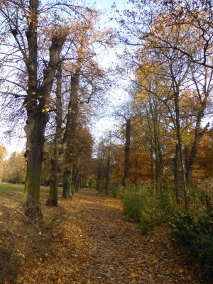 Schlosspark Niederschönhausen Berlin 4415_10