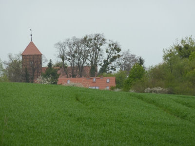 Radweg Stegelitz-Prenzlau_08