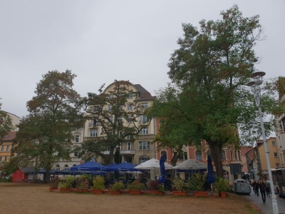 Karlsplatz Eisenach 3618_04