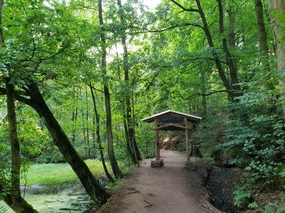 Drachenschlucht Eisenach 3618_03