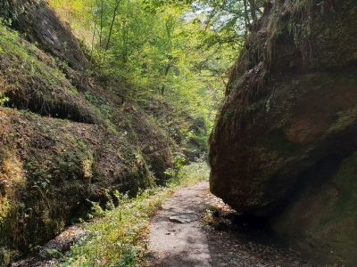 Drachenschlucht Eisenach 3618_08