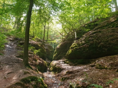 Drachenschlucht Eisenach 3618_23