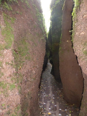 Drachenschlucht Eisenach 3618_25
