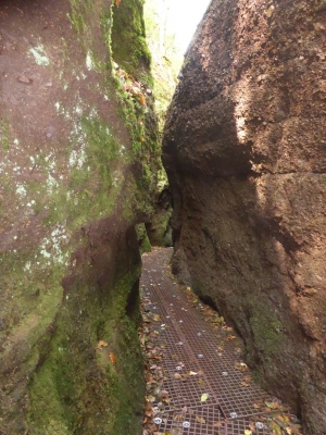 Drachenschlucht Eisenach 3618_26