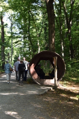 Baumkronenpfad Hainich 2520_16