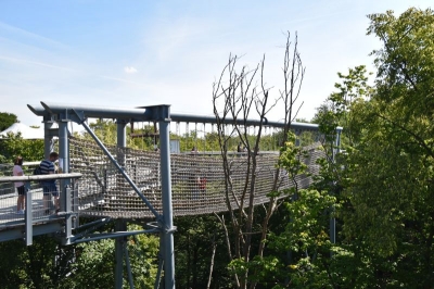 Baumkronenpfad Hainich 2520_34