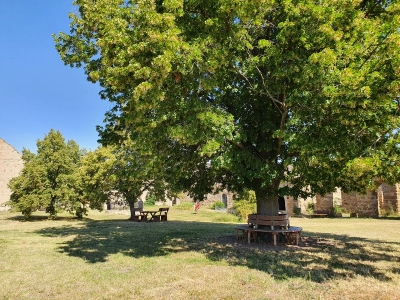 Burg Gleichen 2520_36