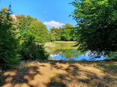 Schlosspark Gotha 2520_02