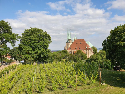 Zitadelle Petersberg 2821_04