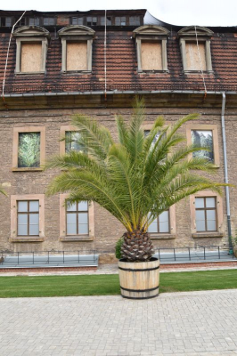 Zitadelle Petersberg Buga 21 2821_05